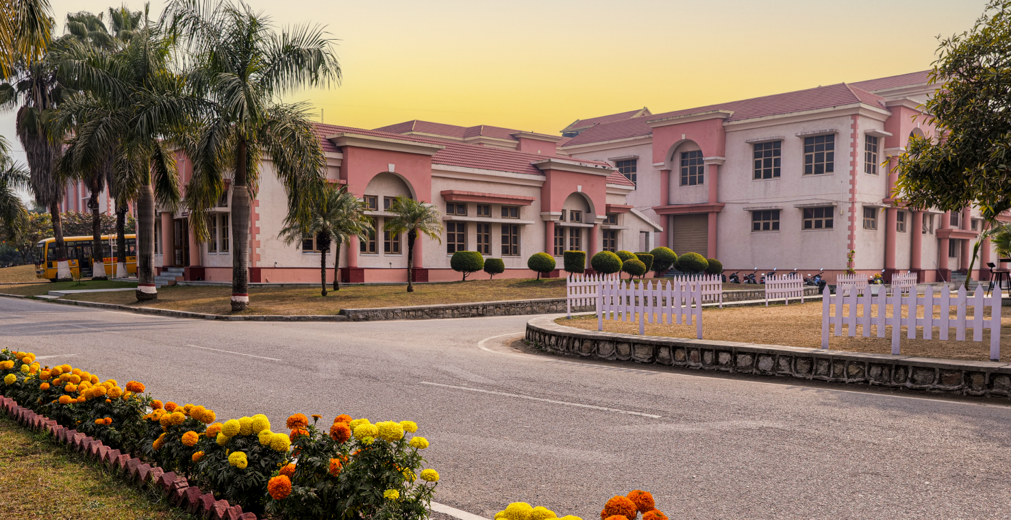Uttaranchal University Main Building with beautiful marigold gardens and palm trees at sunset